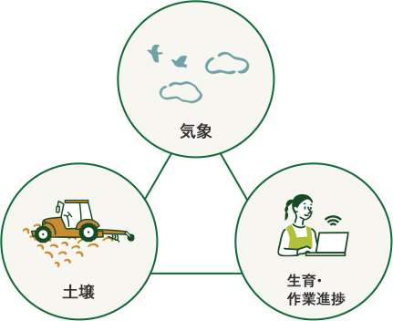 農産物のイメージ